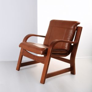 Alternative view of Sillón Budi